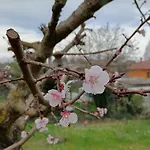 Bed & Breakfast Il Giramondo