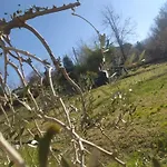 Il Giramondo