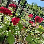 Il Giramondo Bed & Breakfast