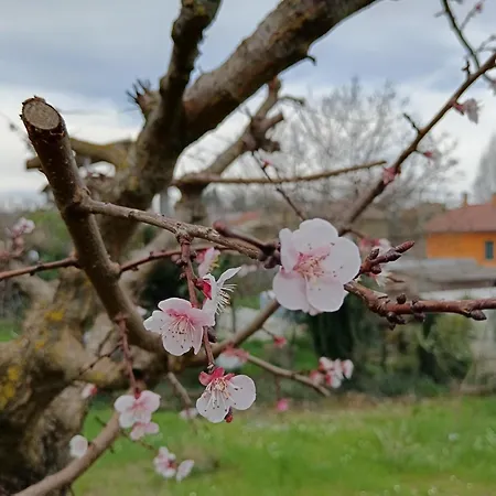 Frühstückspension Il Giramondo