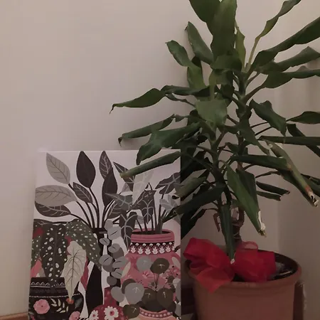 Il Giramondo Frühstückspension *