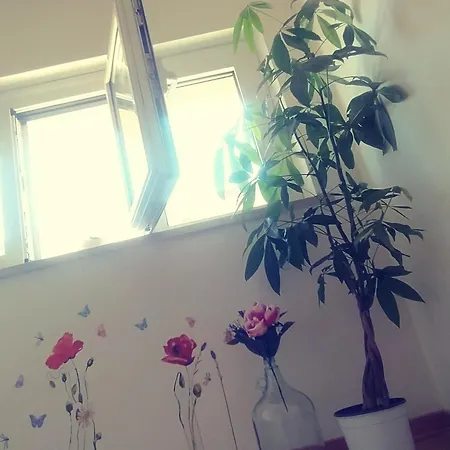 Il Giramondo Frühstückspension