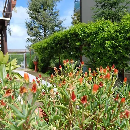 Bed & Breakfast Il Giramondo *