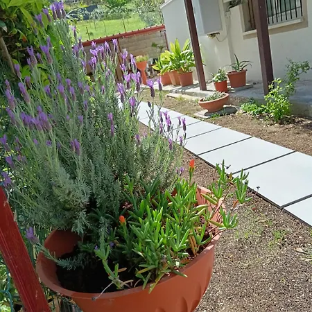 Bed & Breakfast Il Giramondo Montelabbate