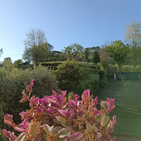 Frühstückspension Il Giramondo Montelabbate