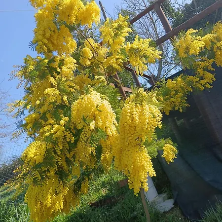 Frühstückspension Il Giramondo Montelabbate