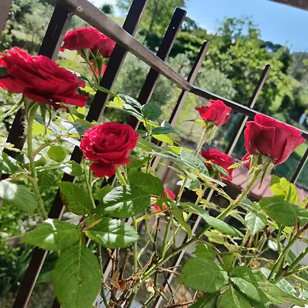 Il Giramondo Frühstückspension