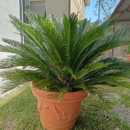 Il Giramondo Frühstückspension *