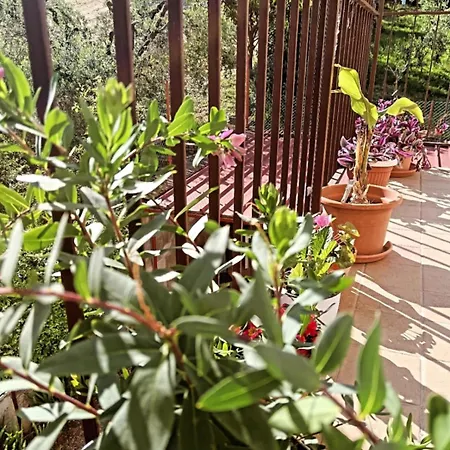 Frühstückspension Il Giramondo Montelabbate