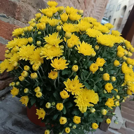Il Giramondo