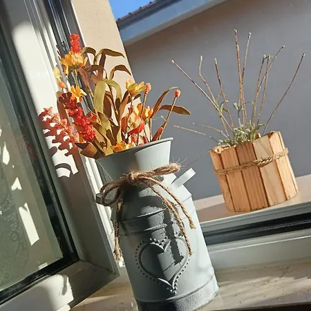 Il Giramondo Bed and Breakfast *