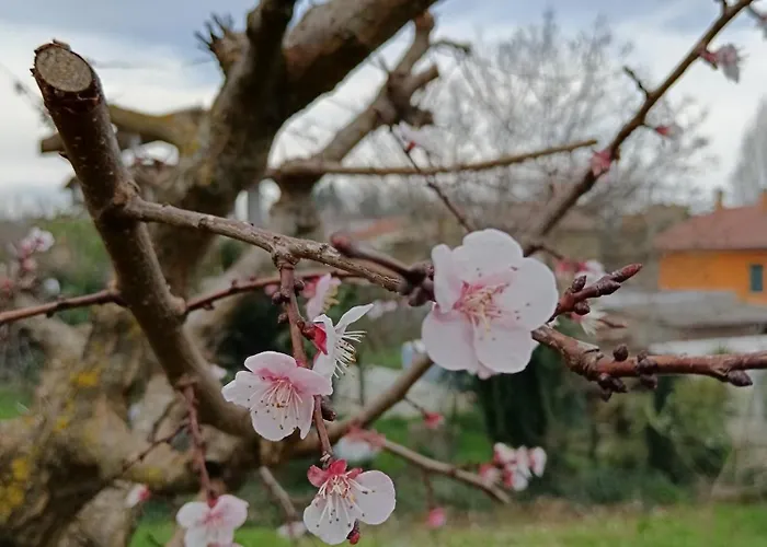 Bed and Breakfast Il Giramondo