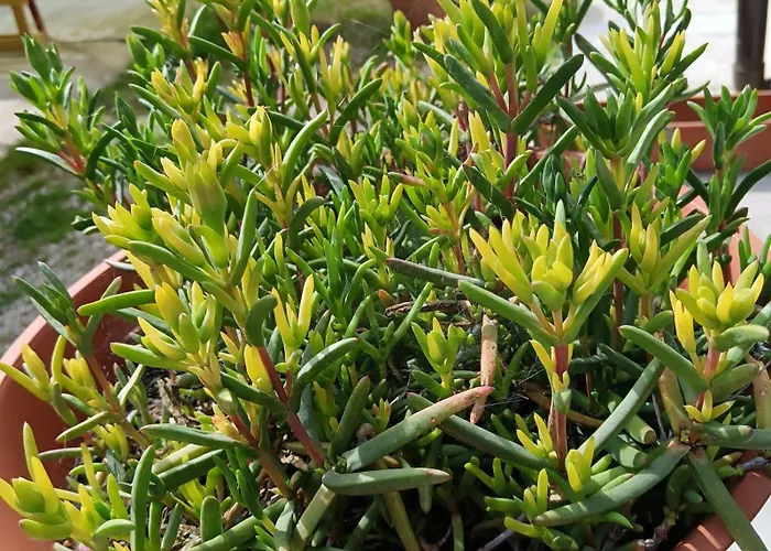 Il Giramondo * Montelabbate