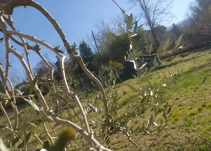 Il Giramondo