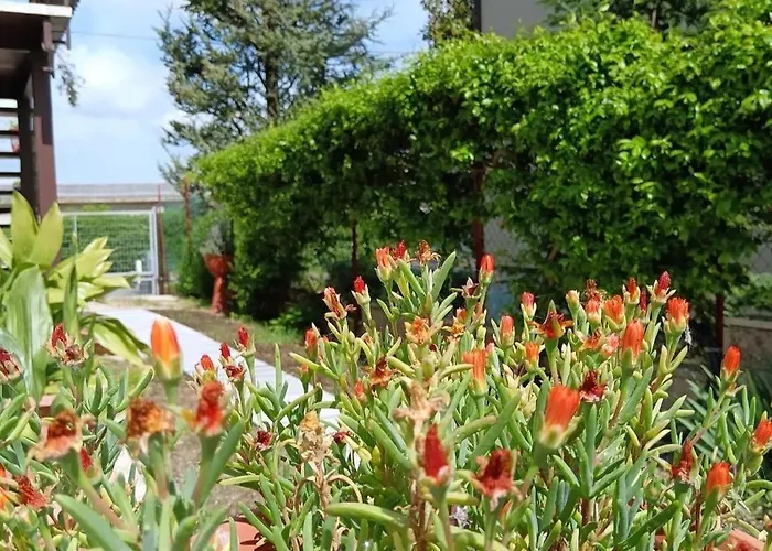 Bed and Breakfast Il Giramondo *