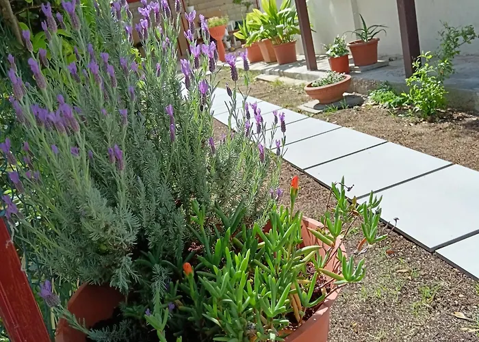 Bed and Breakfast Il Giramondo Montelabbate
