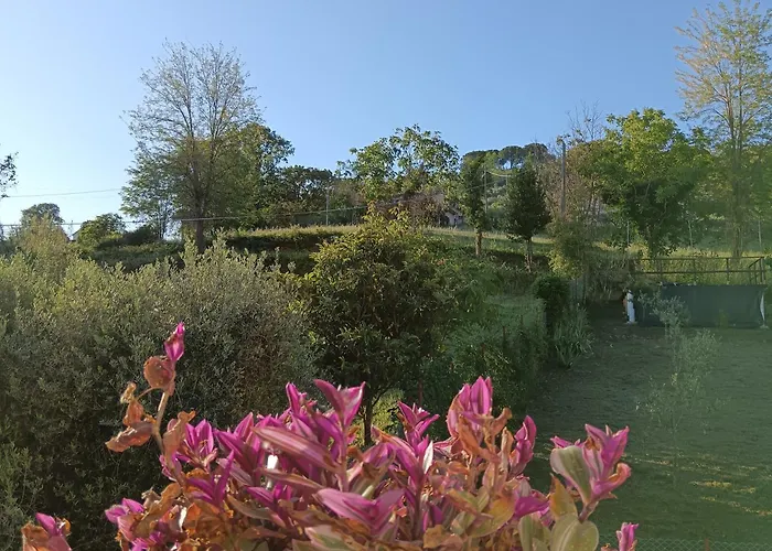 Bed and Breakfast Il Giramondo Montelabbate