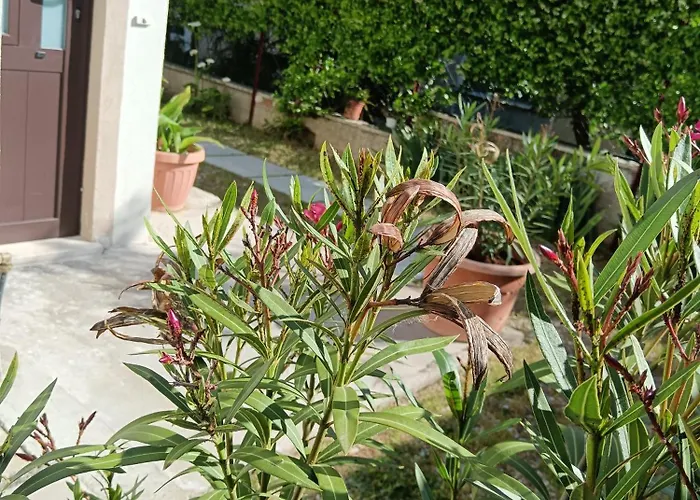Il Giramondo