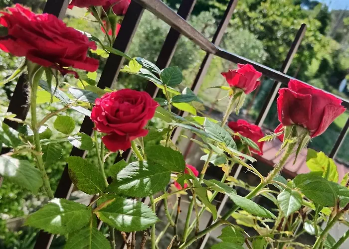 Il Giramondo Alojamento de Acomodação e Pequeno-almoço