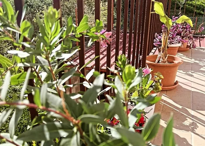 Alojamento de Acomodação e Pequeno-almoço Il Giramondo Montelabbate