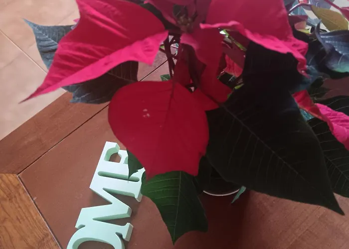 Il Giramondo Montelabbate